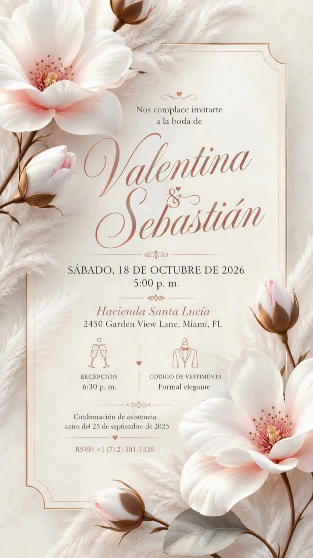 Boda B85
